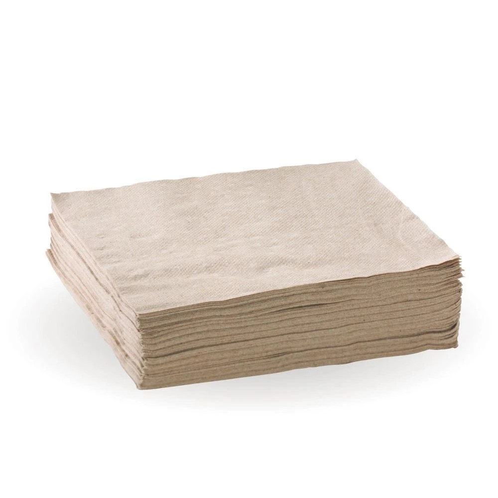2 Biopak 2 Ply Napkins 100 Pack, 2 of 2