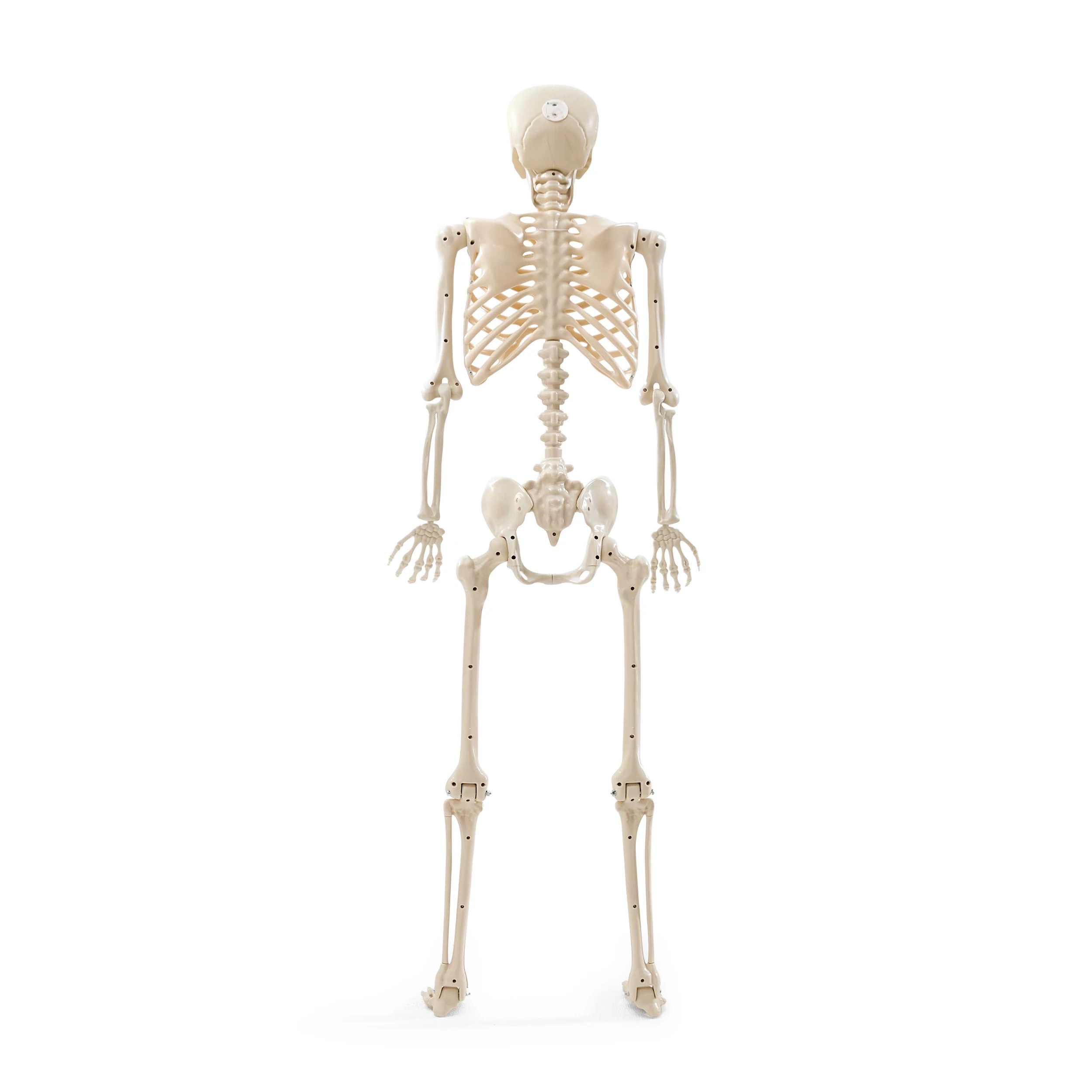 6 Battery Operated LED Light Up Poseable Skeleton, 6 of 9