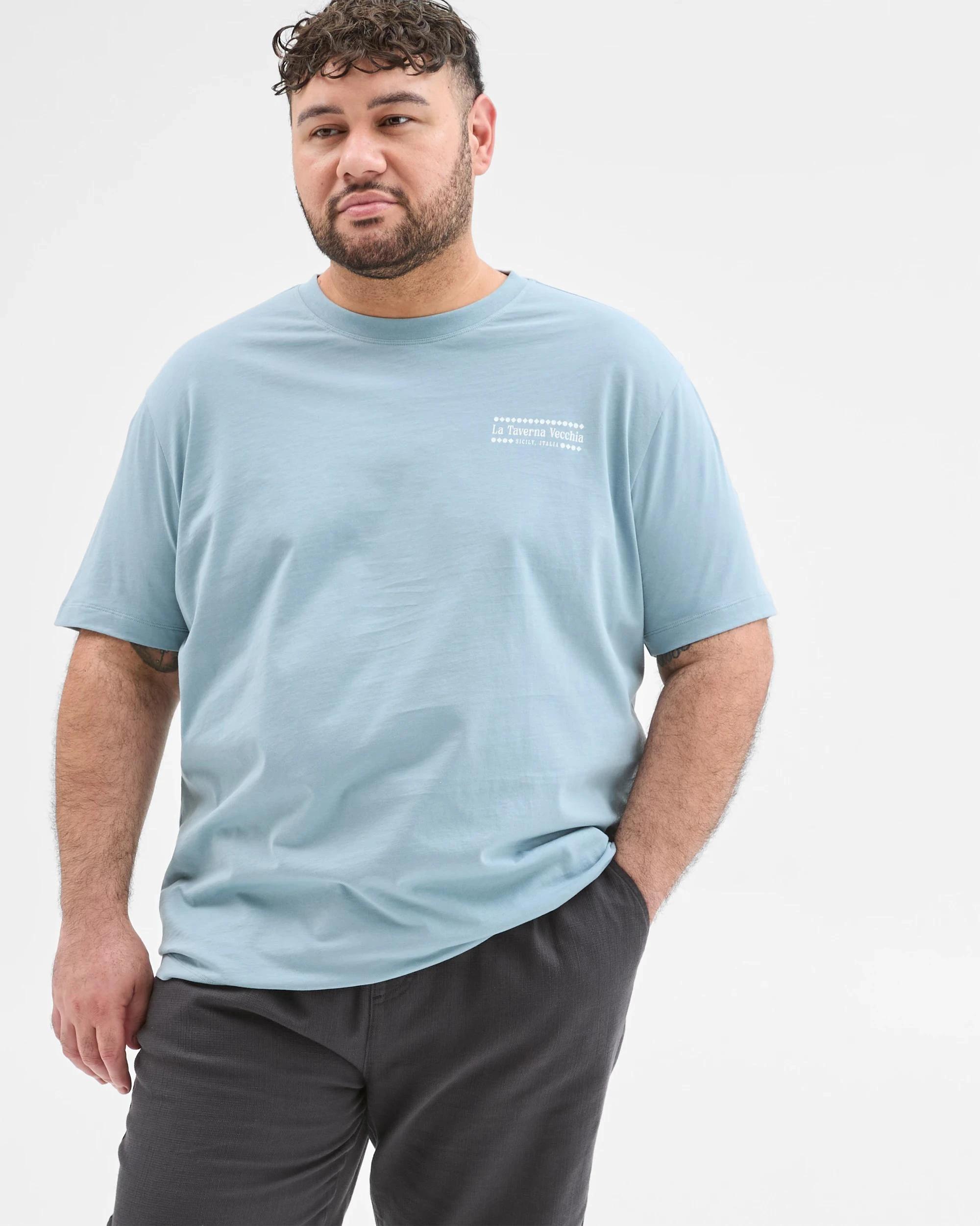 1 Target Man Plus Plus Size Australian Cotton Print T-Shirt DUSTY TEAL, 1 of 5