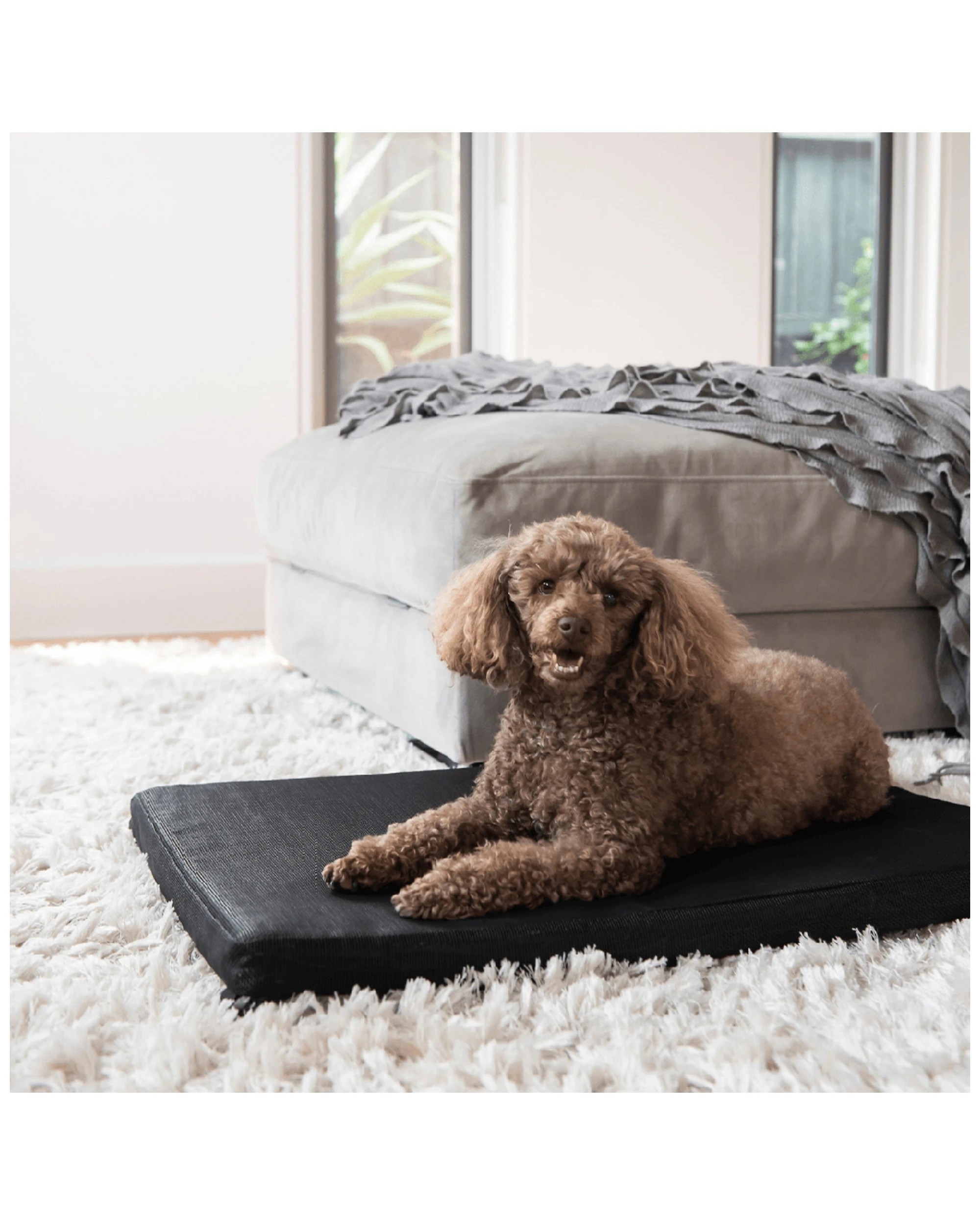 3 Superior Pet Goods Medium Mat Durable Kennel Portable Reversible Washable - Black, 3 of 4