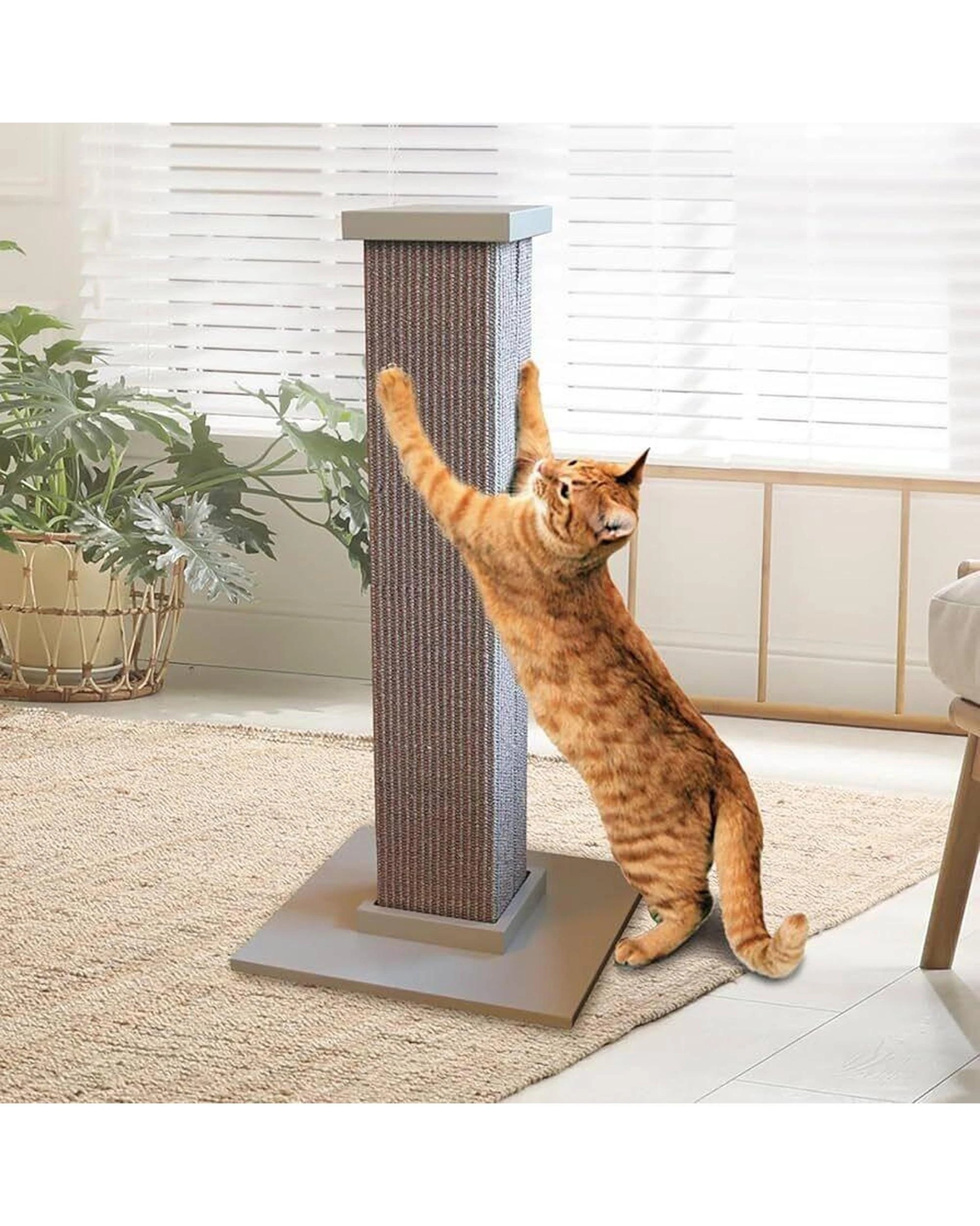 2 SmartCat Ultimate Heavy-Duty Sisal Sturdy Cat Scratch Post Grey - Grey, 2 of 8