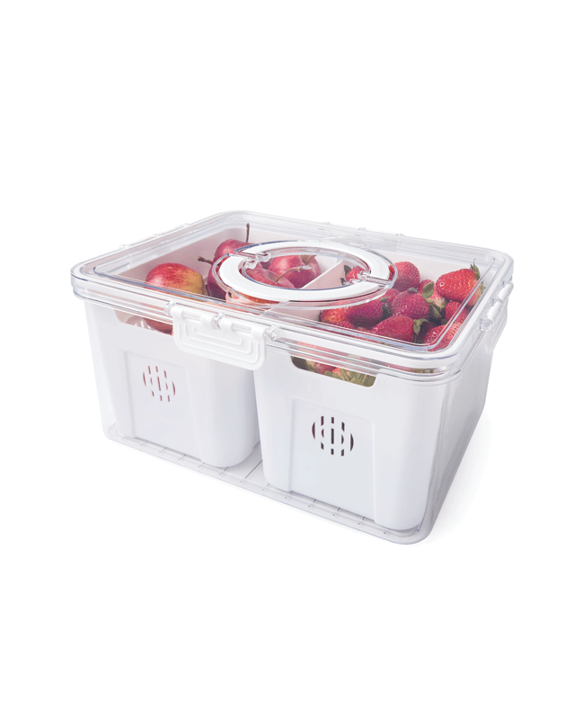 2 Compartment Fridge Sto
