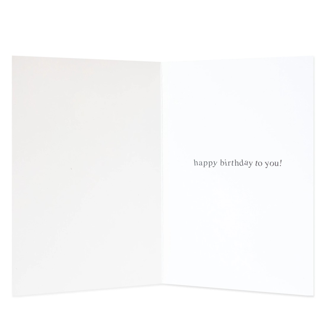 2 Creative Publishing from Hallmark Birthday Card - Crocodile, 2 of 3