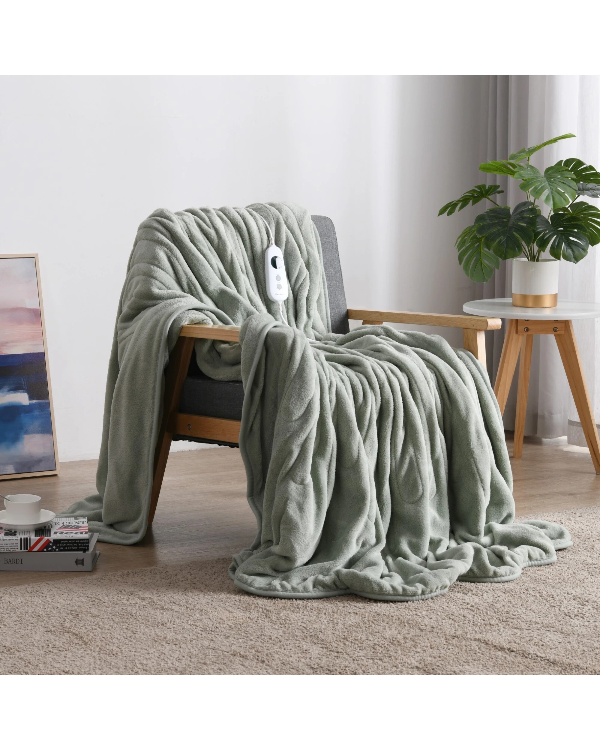 1 Dreamaker Kingston Coral Fleece Electric Heated Throw Blanket 180x200cm - Sage, 1 of 7
