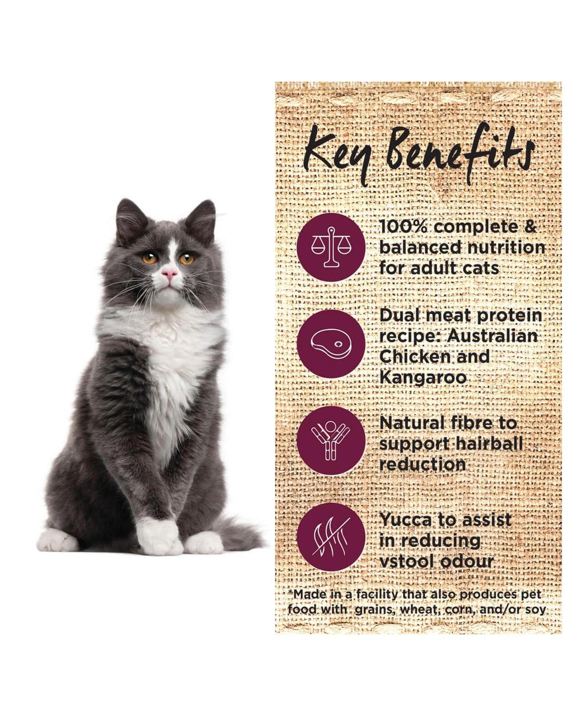 3 Ivory Coat Adult Grain Free Dry Cat Food Chicken & Kangaroo 2kg, 3 of 6