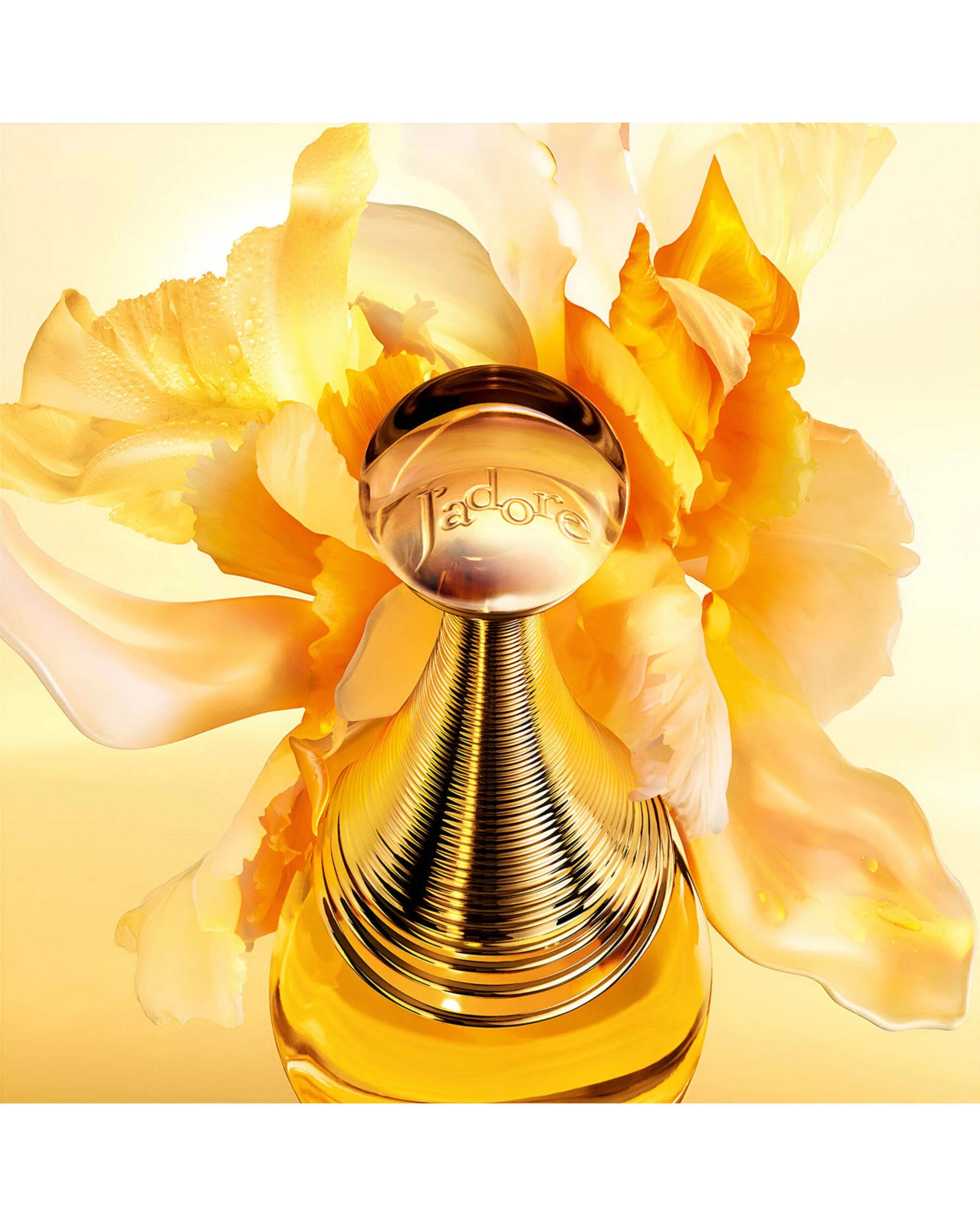 1 Christian Dior J'Adore 50ml Eau De Parfum, 1 of 3