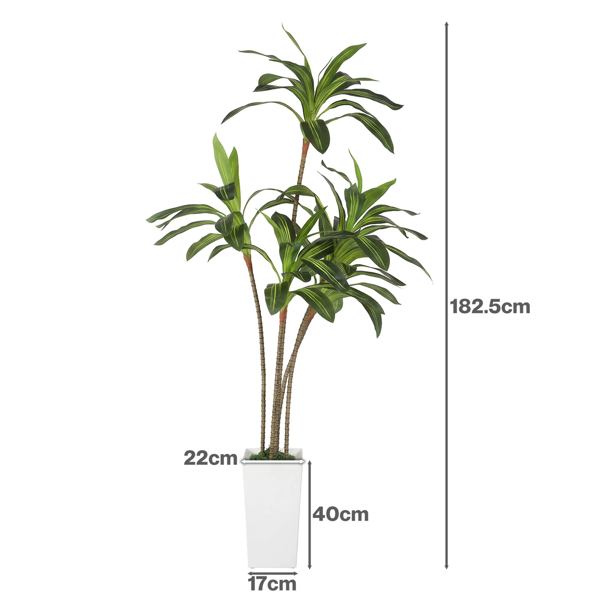 3 Lambu 6Ft Artificial Dracaena Tree With Tall Pot - White, 3 of 9