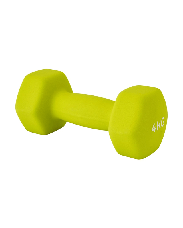 4kg Dumb