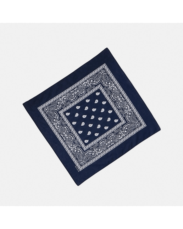 Paisley Hair Bandana - 