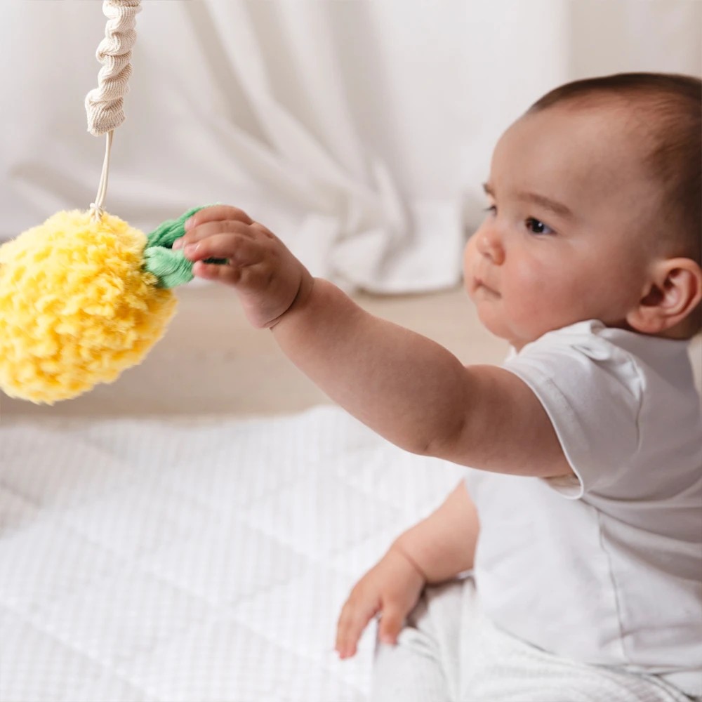 4 Living Textiles Pineapple & Cherries Plush Baby Stroller Toys 2 Pack – Mini Market, Assorted, 4 of 6