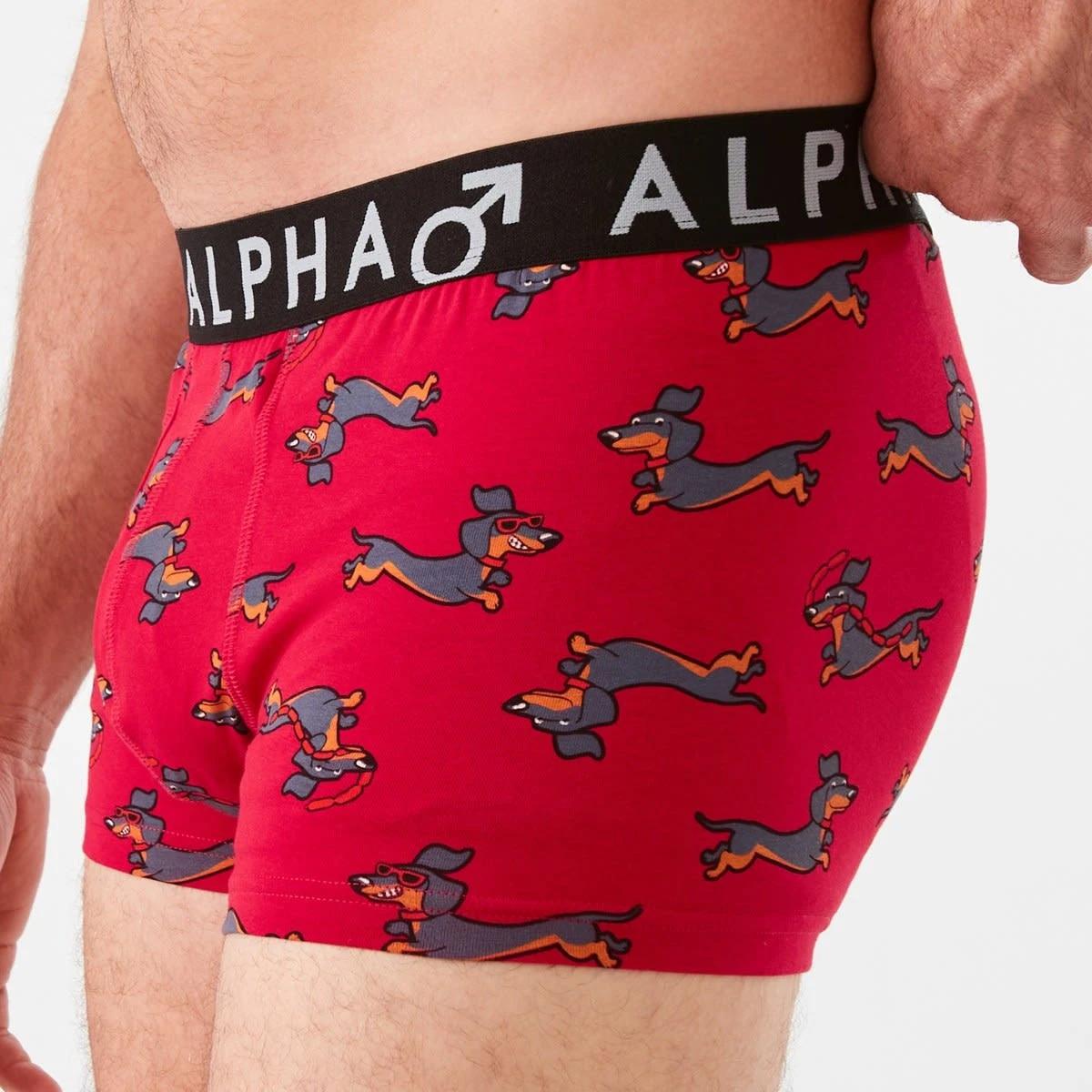 5 3 Pack Fly Front Print Trunks Fast Dogs, 5 of 8