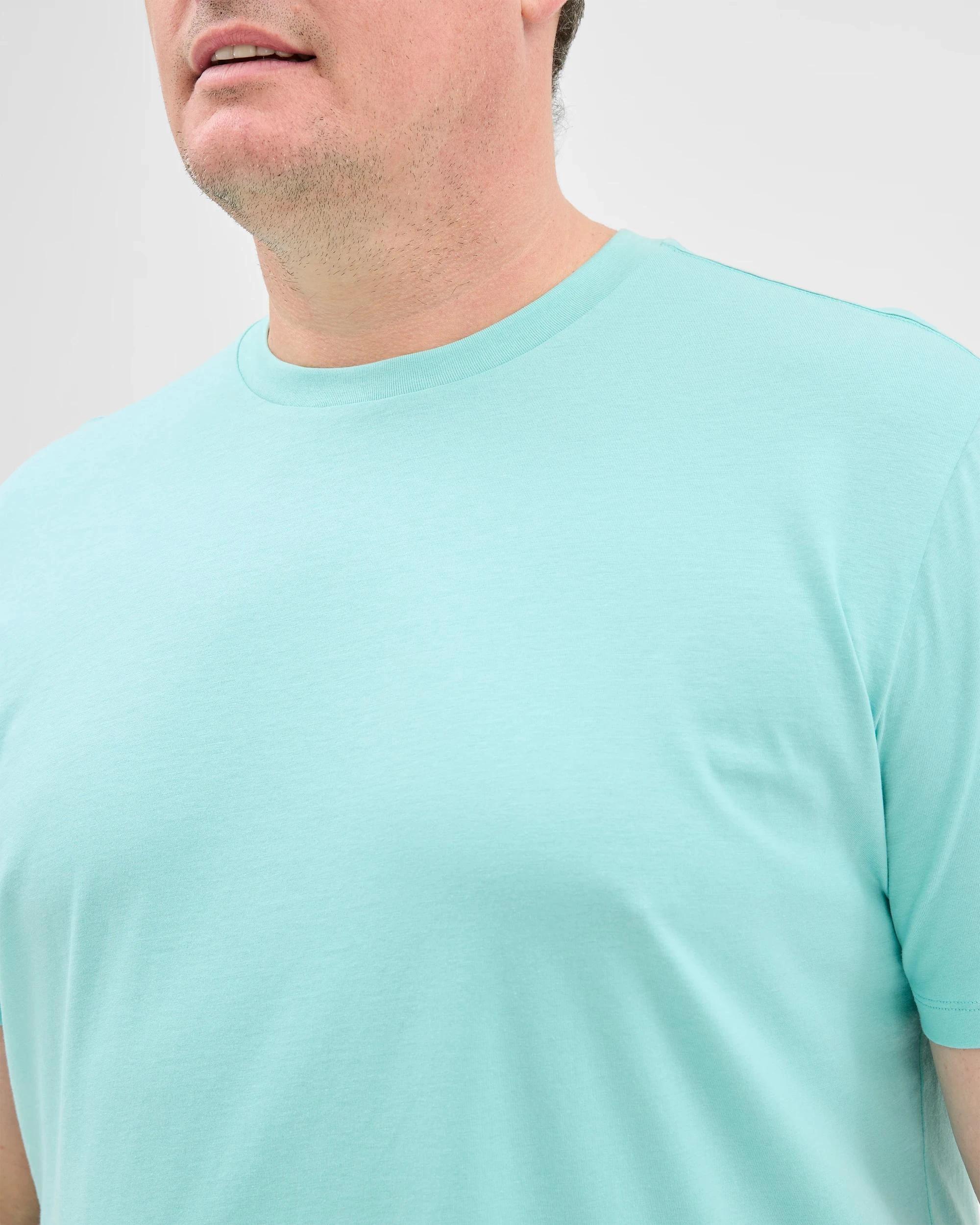 5 Target Man Plus Plus Size Australian Cotton Crew T-Shirt AQUA, 5 of 5