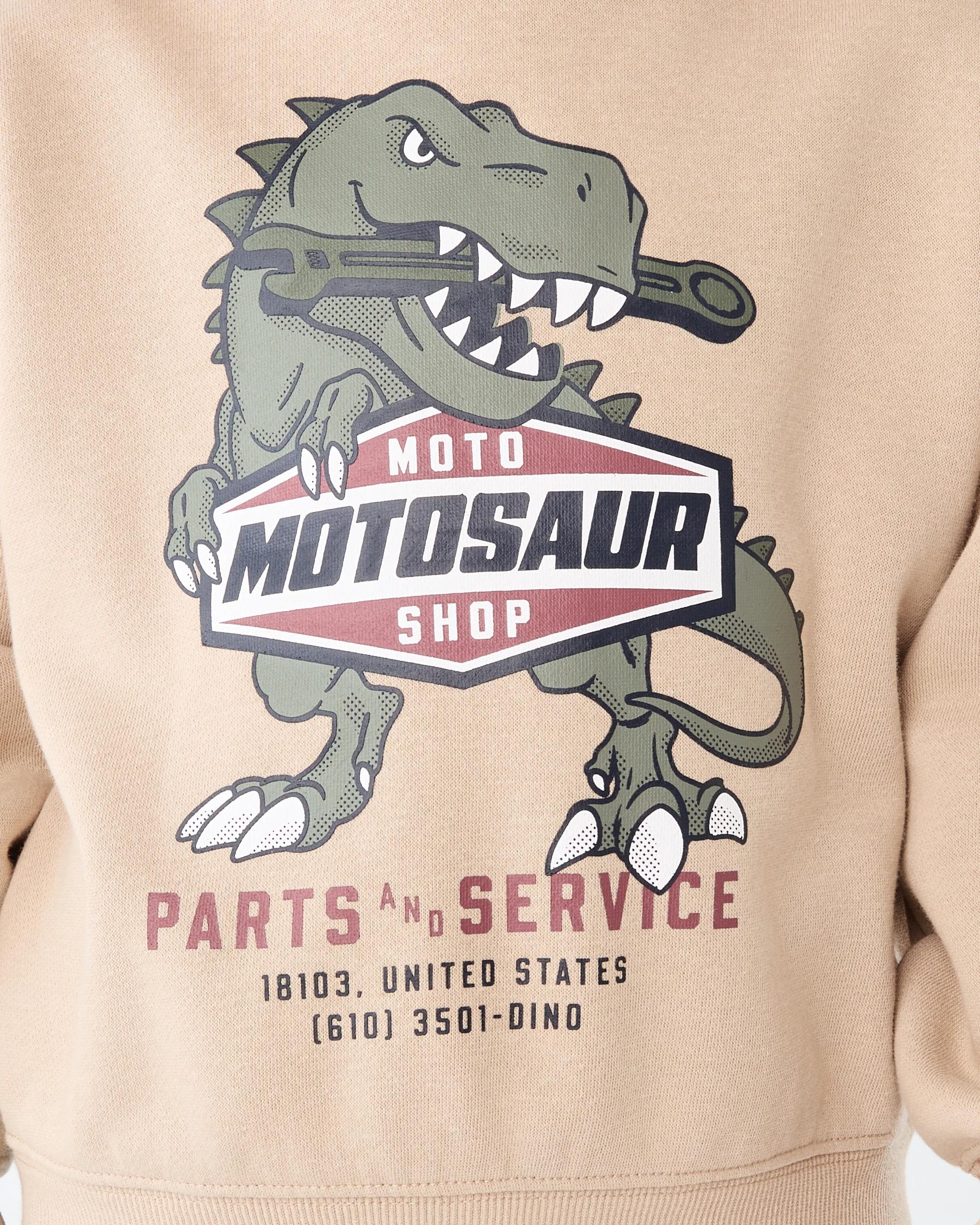 3 Oversize Print Hoodie Brn Dino, 3 of 6
