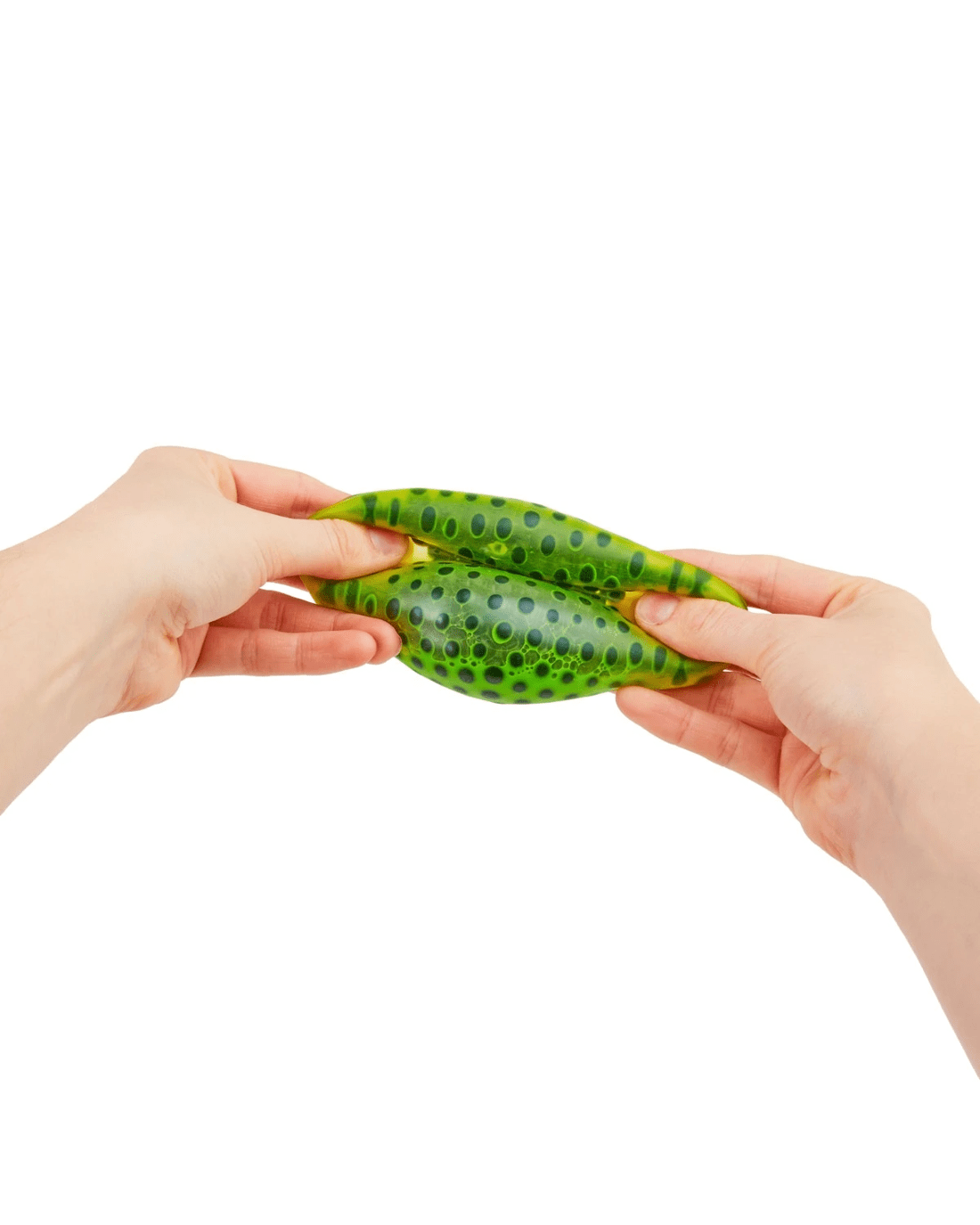 6 ToyMania The Sensory Toy Box - Assorted, 6 of 9