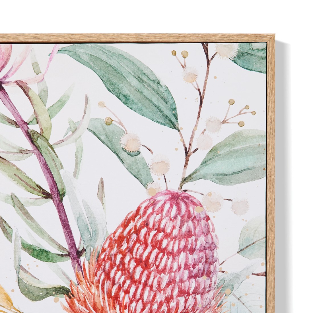 4 2 Pack Natives Framed Canvas, 4 of 7