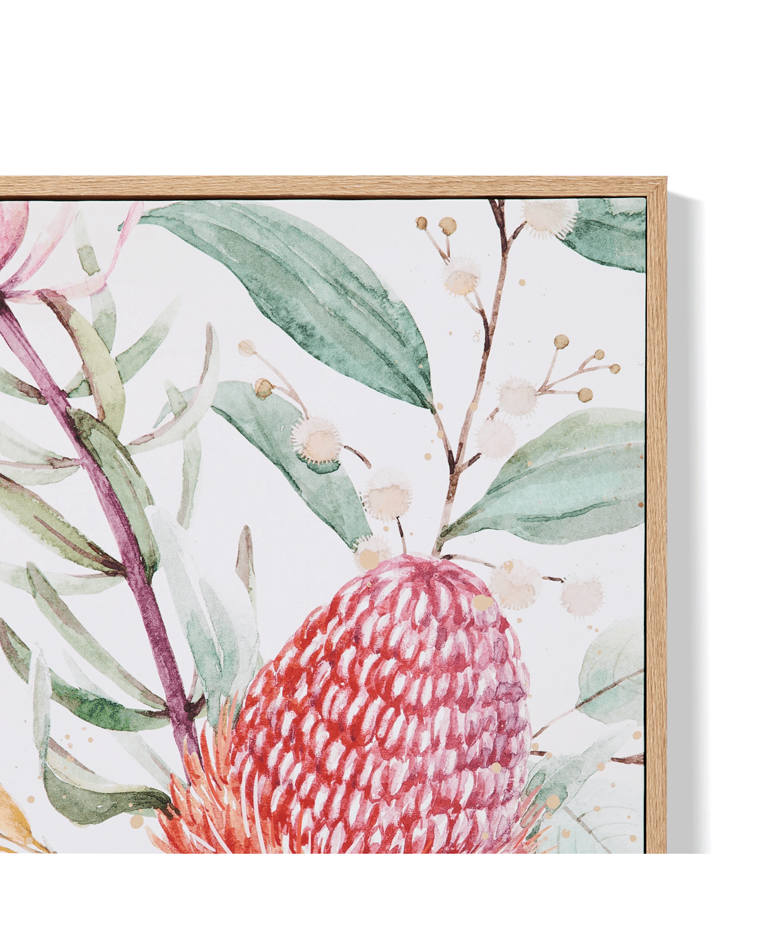 4 2 Pack Natives Framed Canvas, 4 of 7