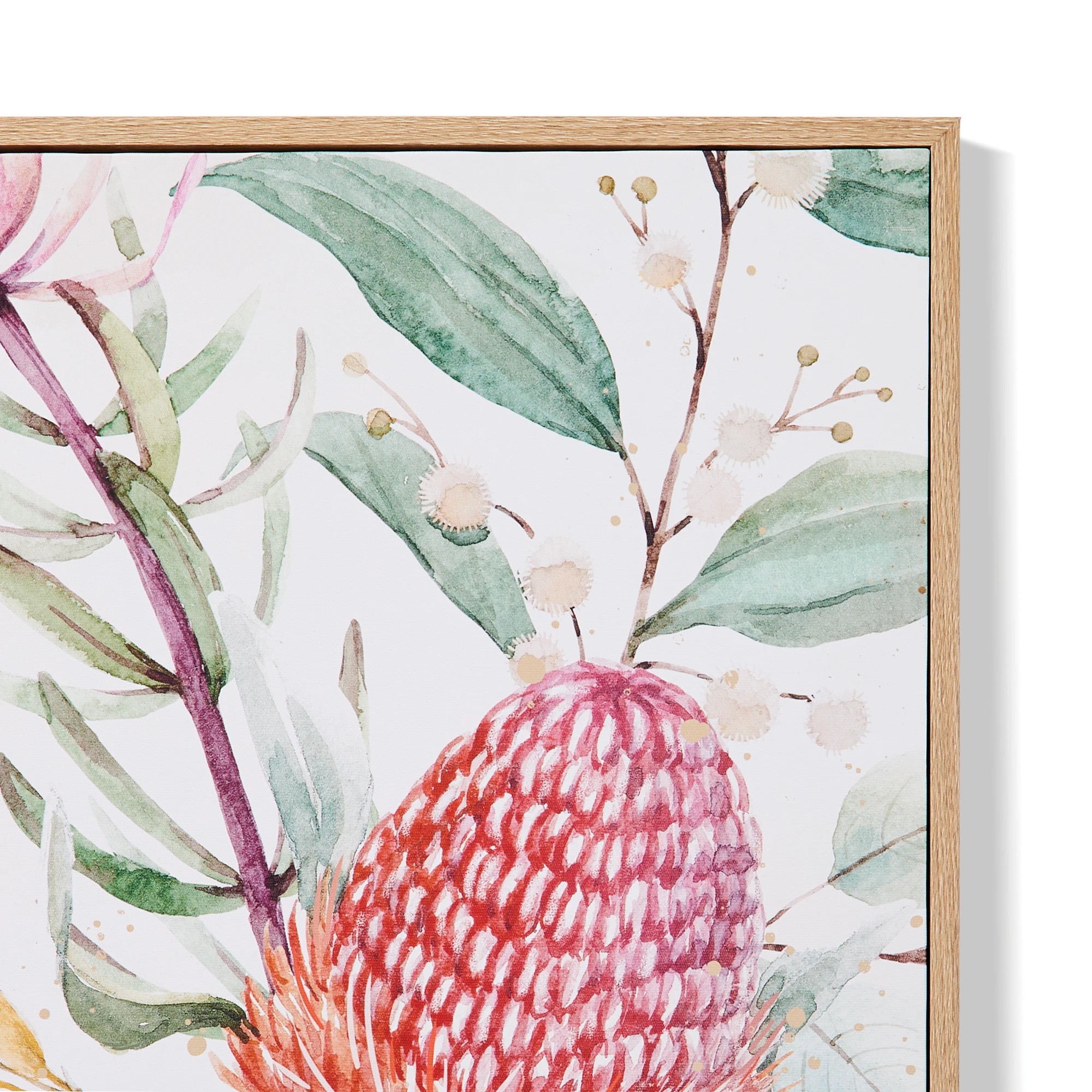 4 2 Pack Natives Framed Canvas, 4 of 7