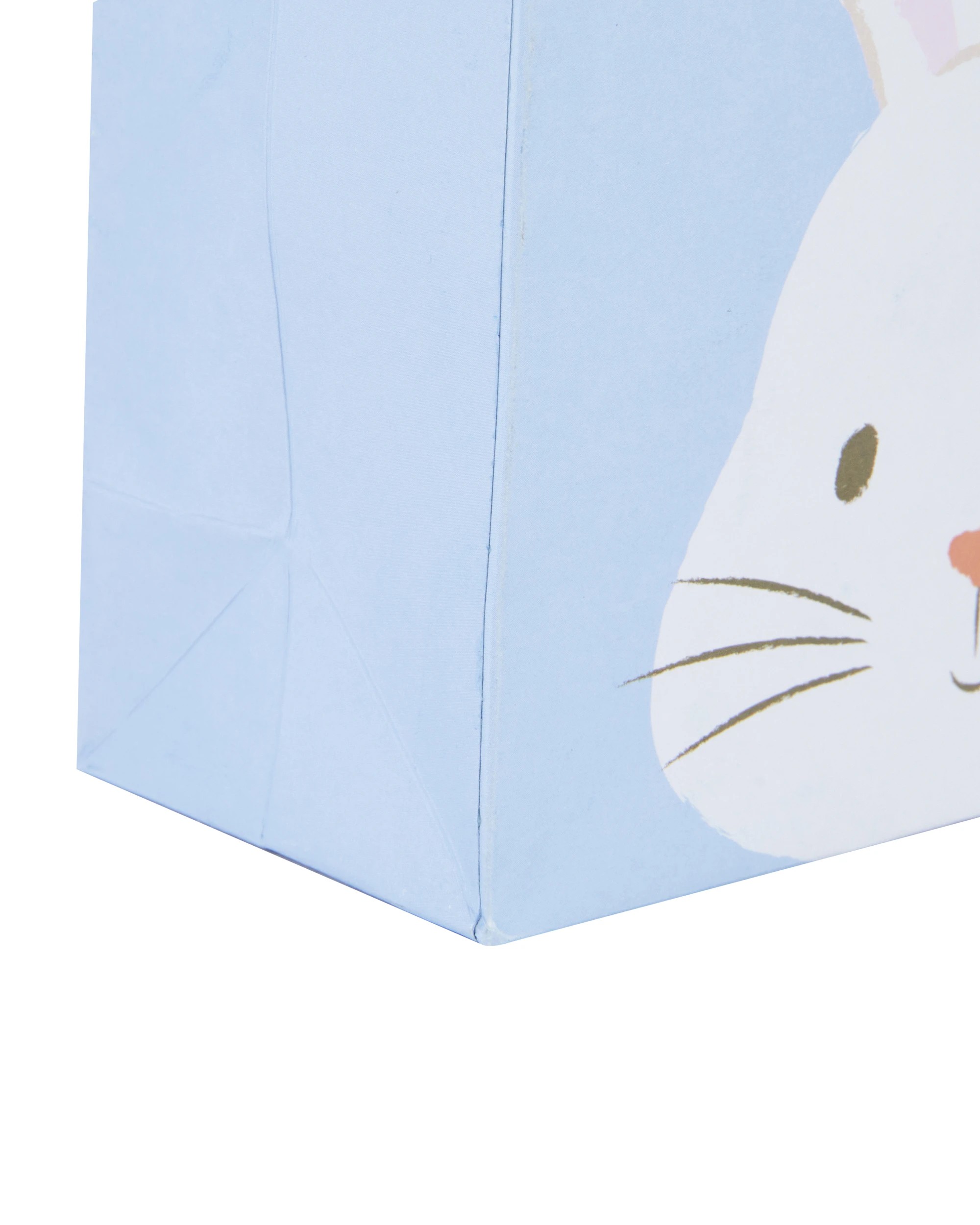 5 6 Pack Easter Bunny Loot Bags - Assorted, 5 of 6