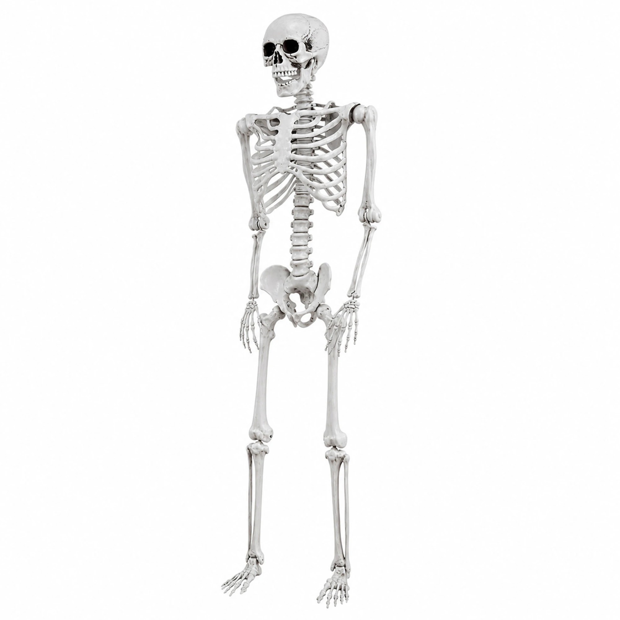 3 Yezi Halloween Decorations Skeleton 169cm Life Size Posable ABS White, 3 of 8