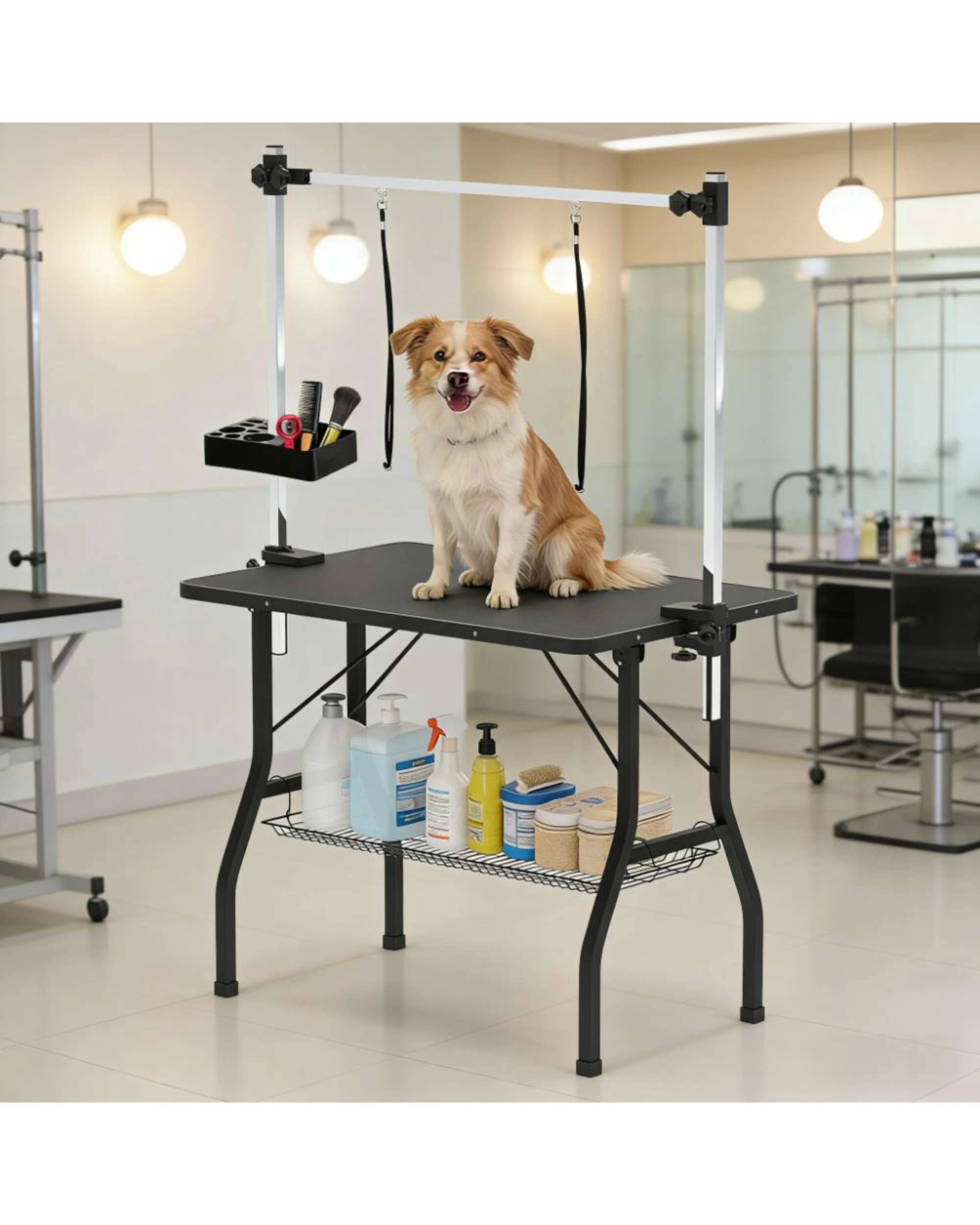 4 Advwin Pet Grooming Table 2 Loops Foldable Dog Grooming Station, 4 of 7