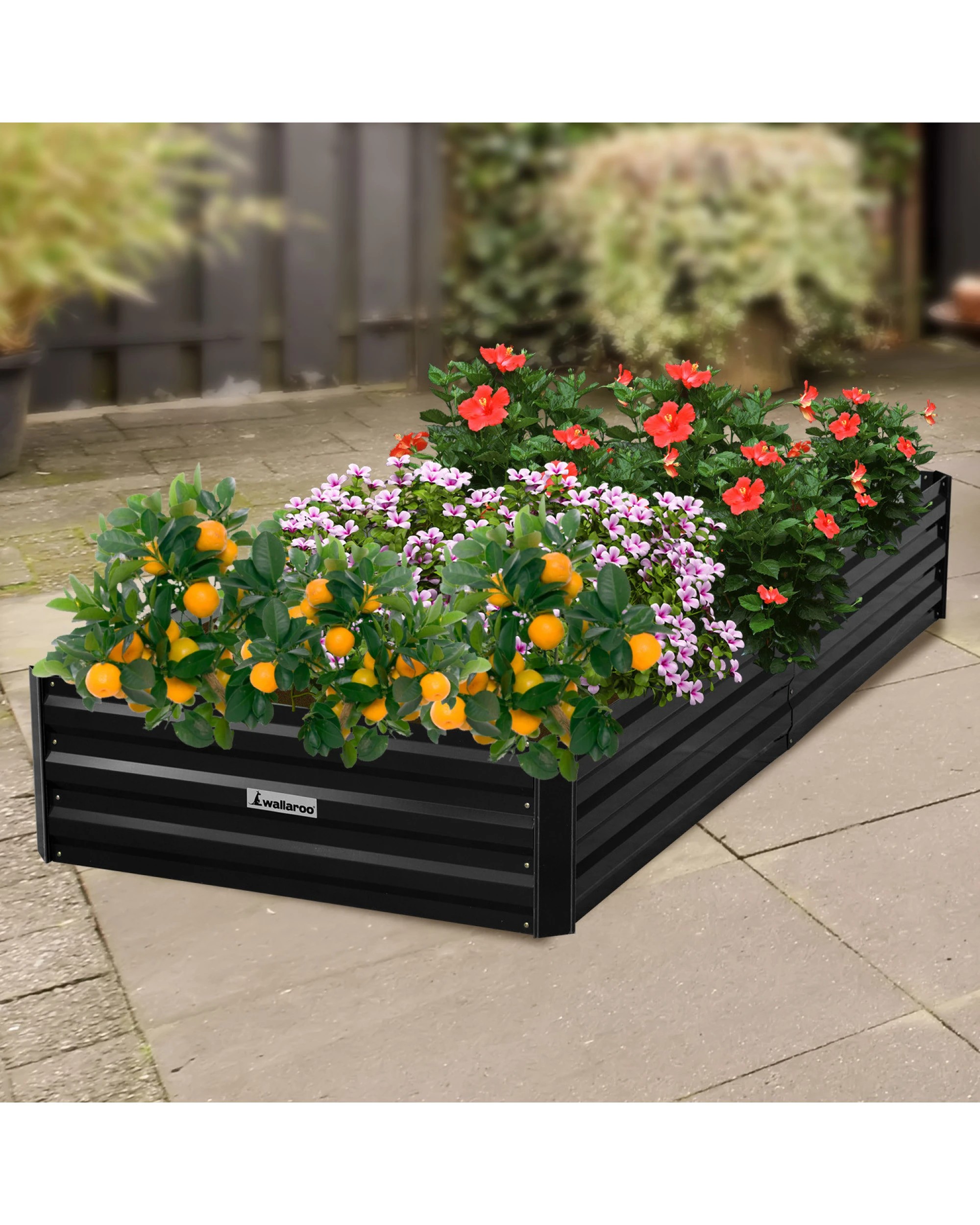 2 Wallaroo Galvanized Steel Raised Garden Bed 210 x 90 x 30cm Plants Vegetables Herbs Flowers - Black, 2 of 5