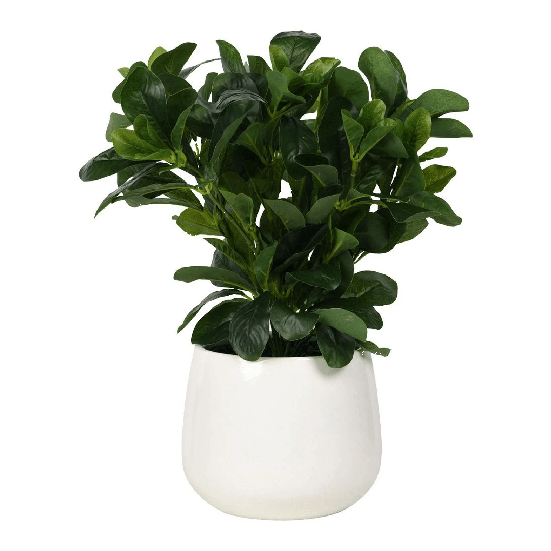 1 Otto Round White Glazed Pot with Plant, 1 of 3