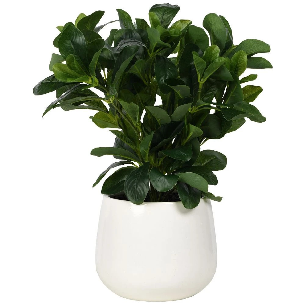 1 Otto Round White Glazed Pot with Plant, 1 of 3