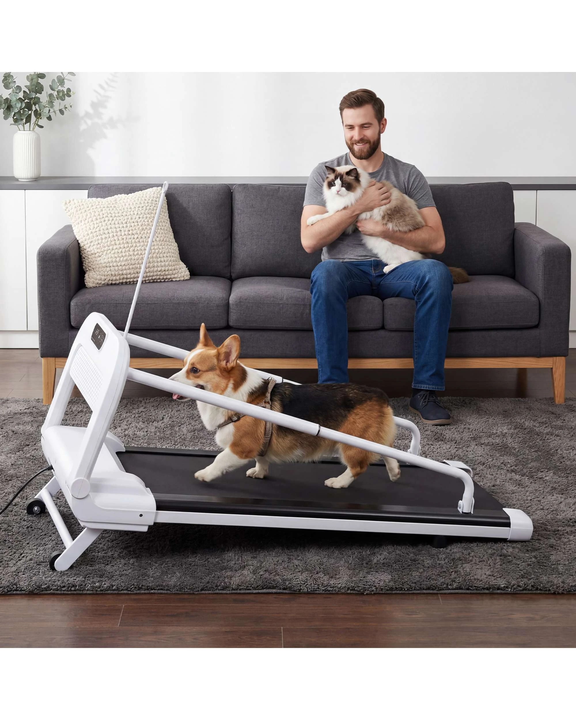 3 Advwin Dog Treadmill Pet Running Machine, 3 of 9