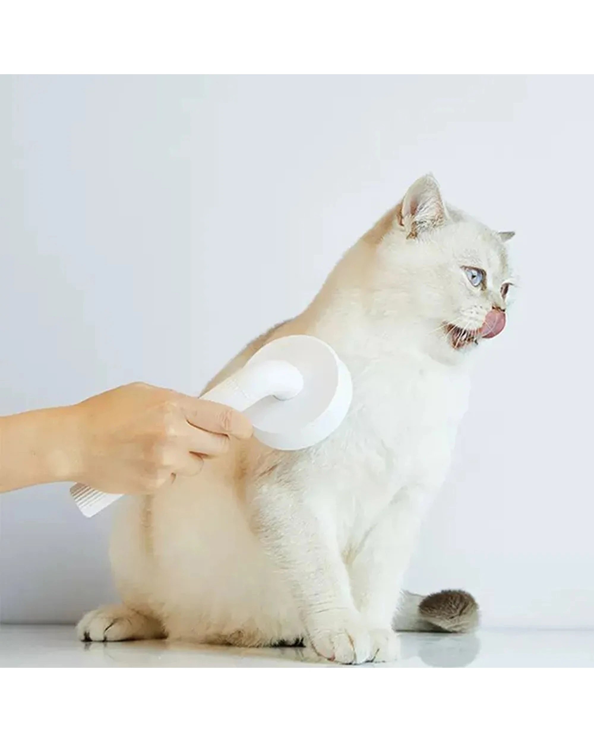 7 Petkit Large Pet Dog Cat Round Grooming Brush 2 With Fur Release Button - White, 7 of 9