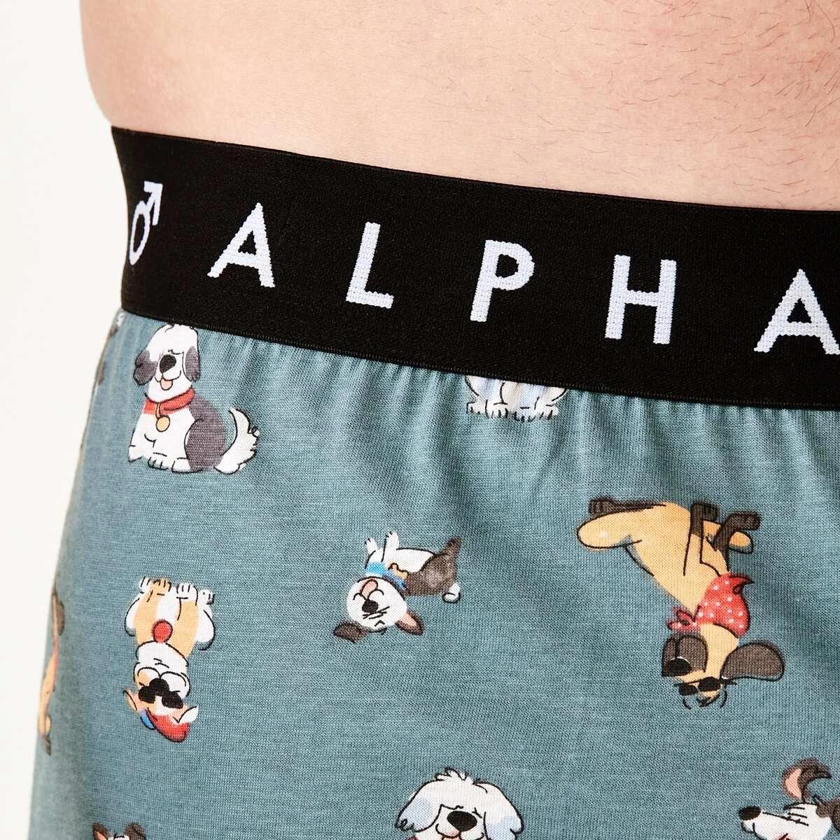4 Printed Jersey Boxers DOGGOS, 4 of 6