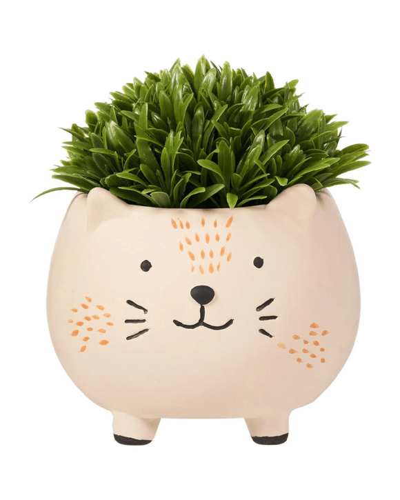 Otto Topiary in Hedgehog Planter