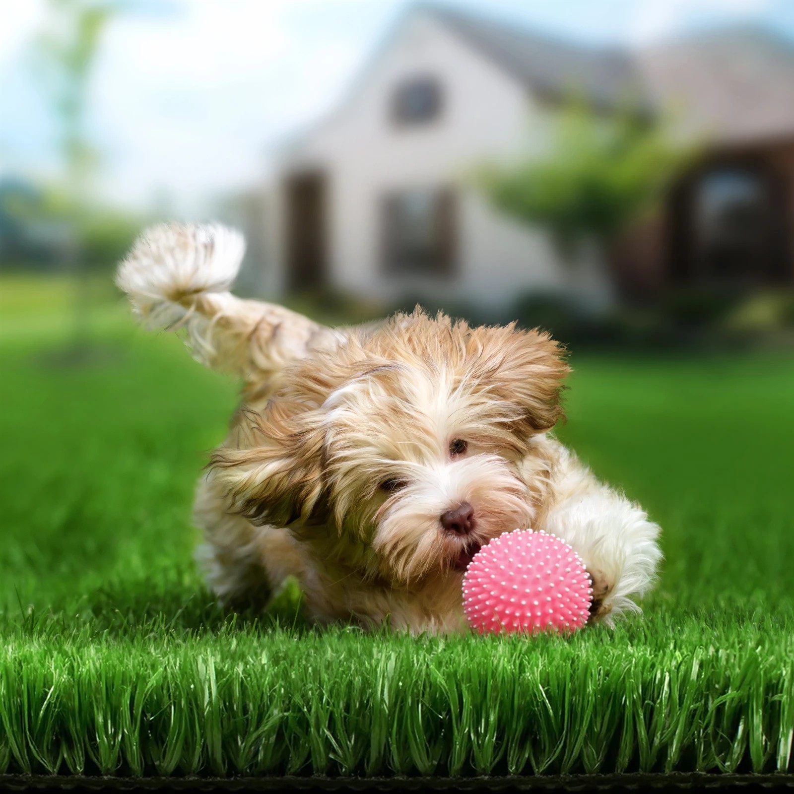 6 Artificial Grass 10SQM Roll Synthetic Turf Fake Yarn Lawn 12mm 1x10m - Green, 6 of 6