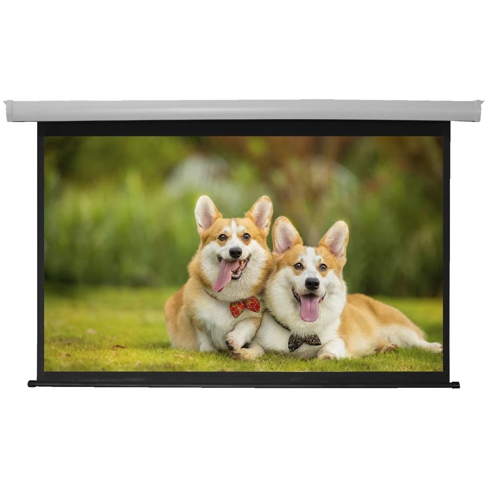 2 Brateck 90" 16:9 Auto-Lock Manual Projector Screen, 2 of 2