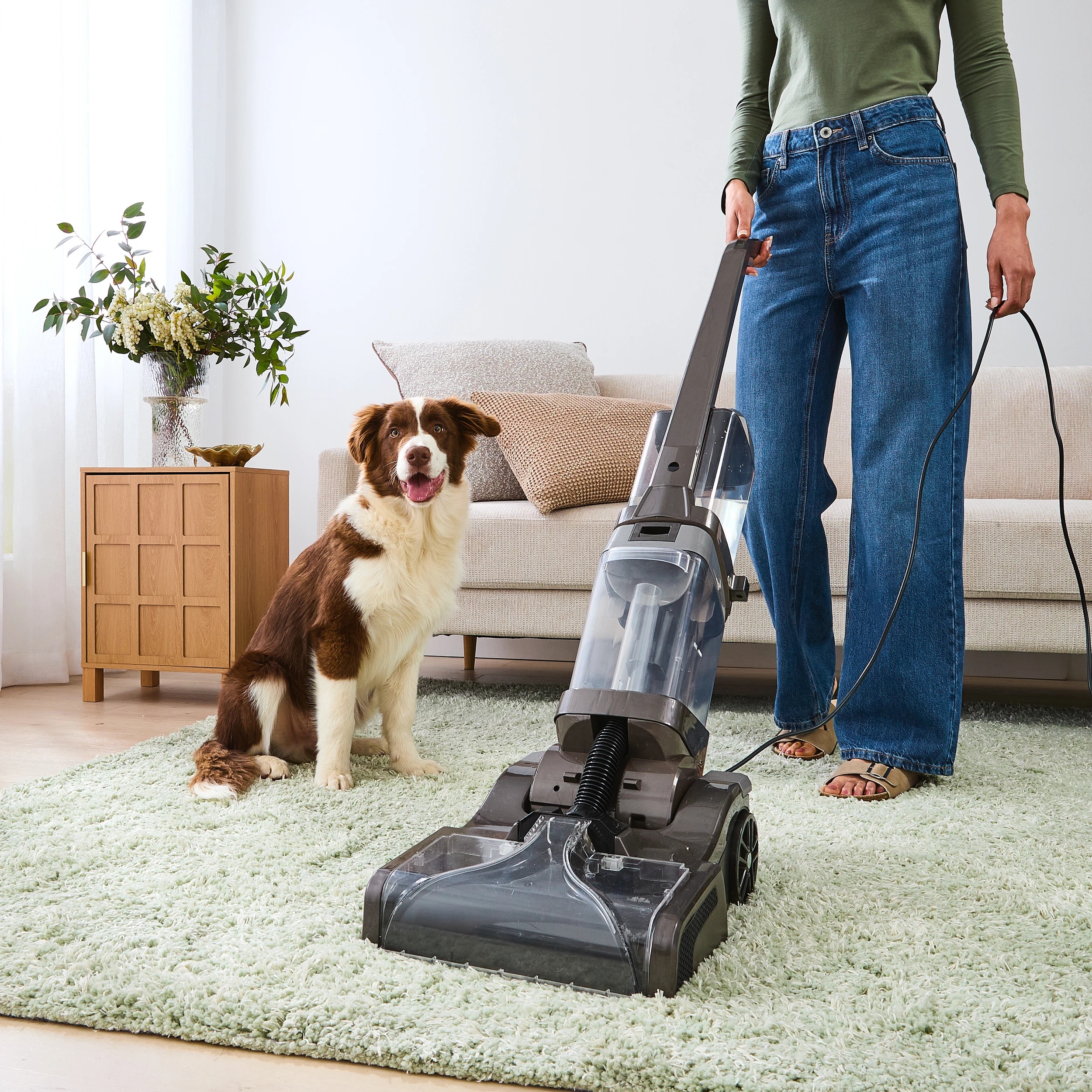 1 Double Roller Carpet Cleaner, 1 of 10