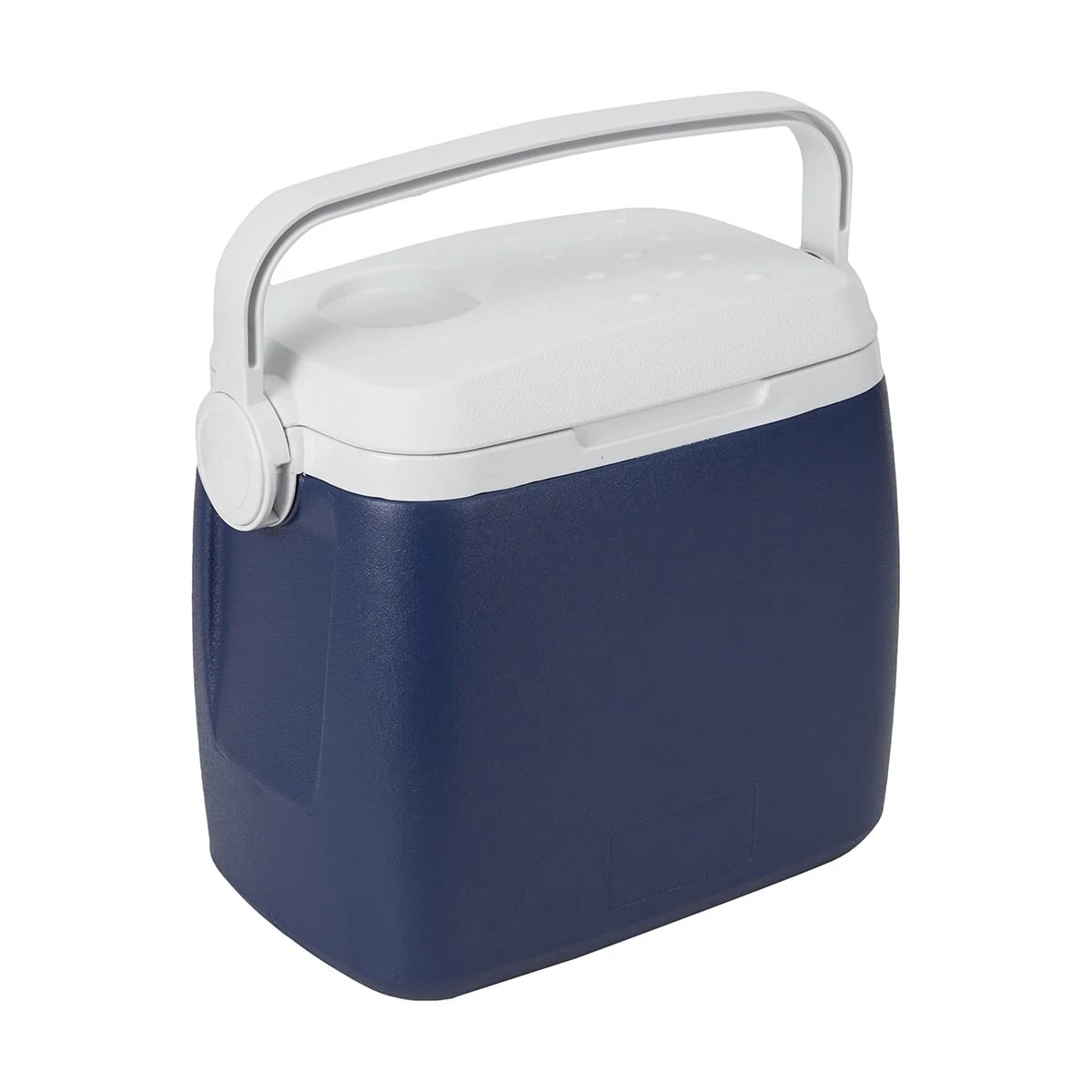1 8L Cooler, 1 of 8