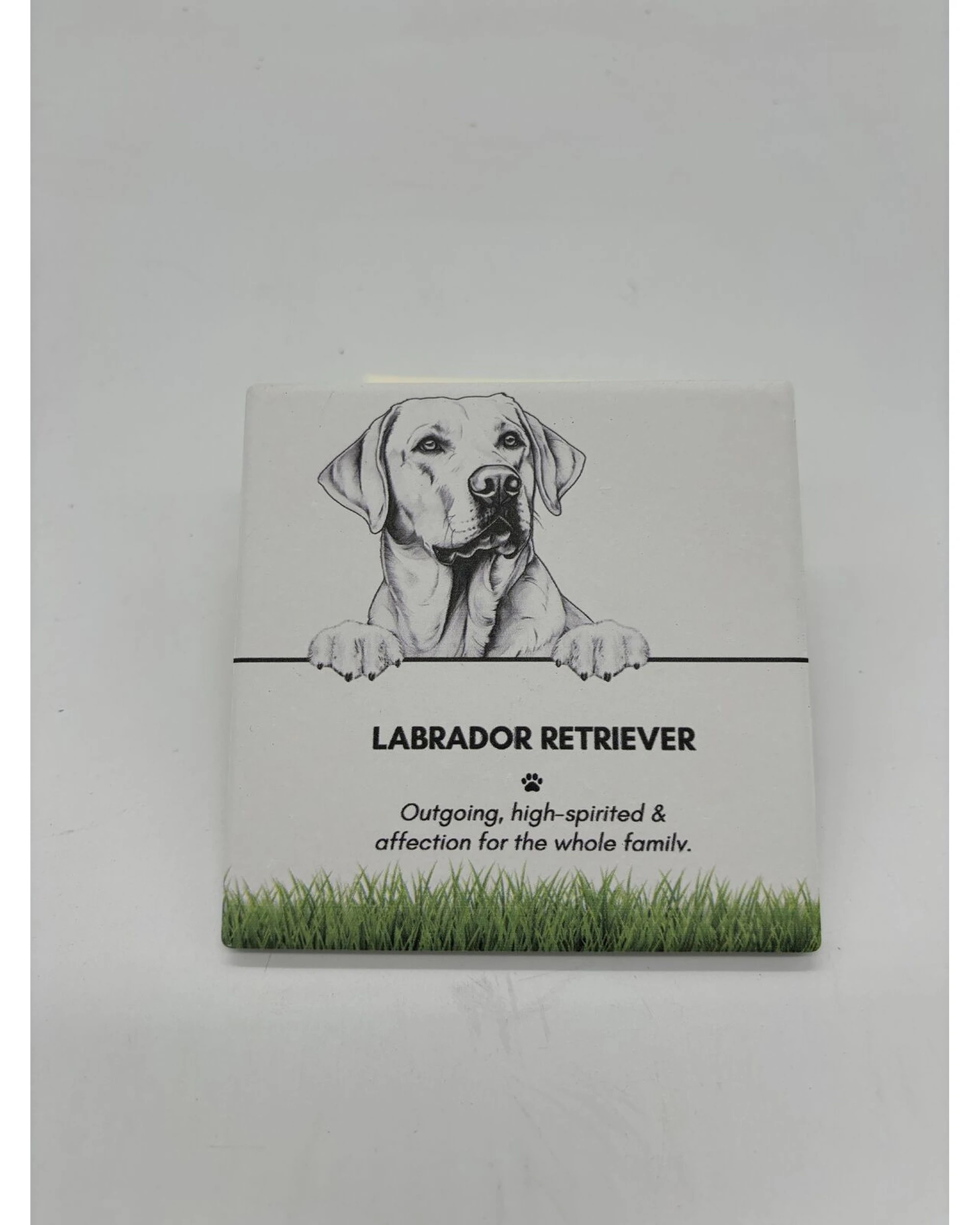 2 Bramble Bay 6PK Pet Kitchen Coaster Labrador Retriever Dog Lover Set - Multi, 2 of 2