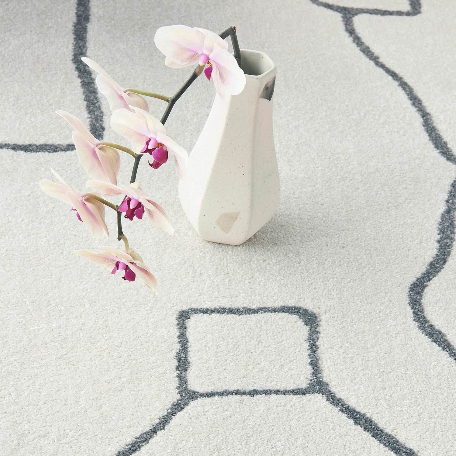 5 Common Ground Rugs Elysium Amy 240x240cm - Large Round Power Loomed Pet Friendly Rug - Natural, 5 of 6
