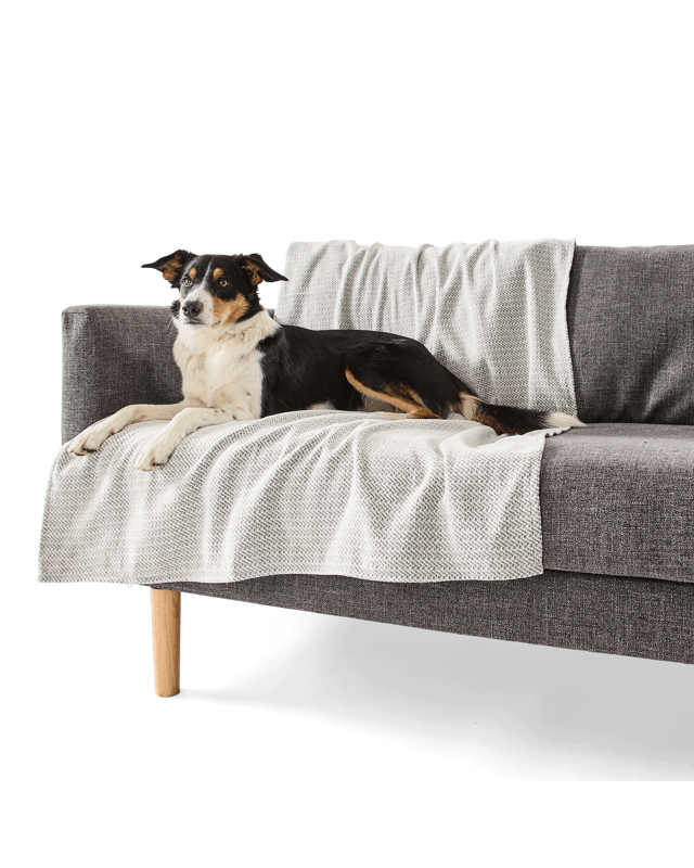 Pet Couch Cover Water Resistant - Large, Asso