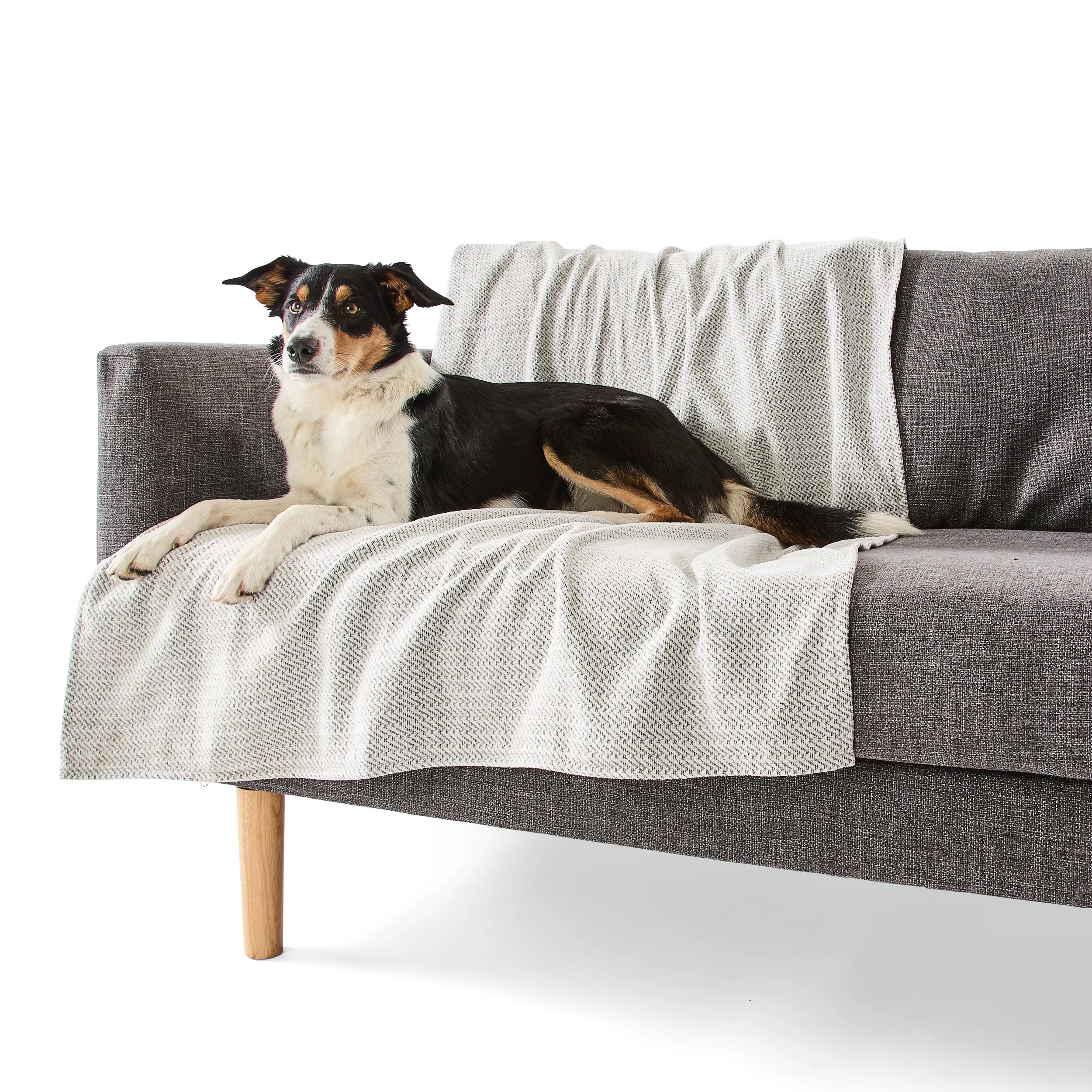 1 Pet Couch Cover Water Resistant - Large, Assorted, 1 of 10