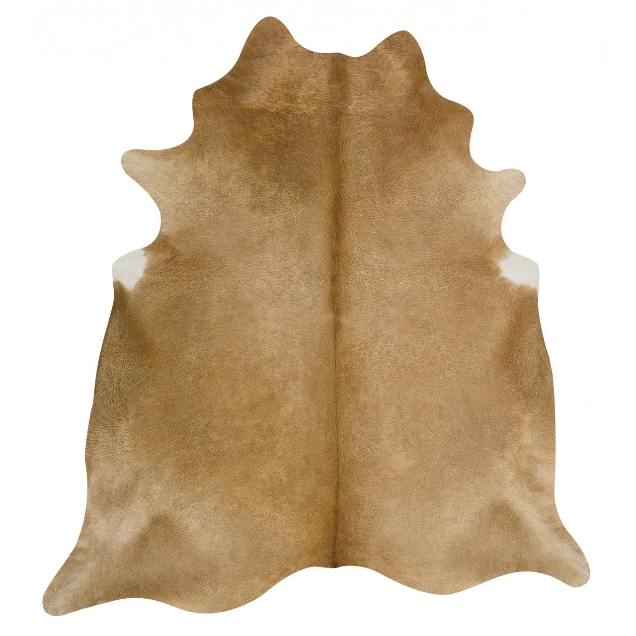 1 Common Ground Rugs Premium Brazilian Cow Hide 200x150 approxcm - Medium Floor Rug - Beige, 1 of 3