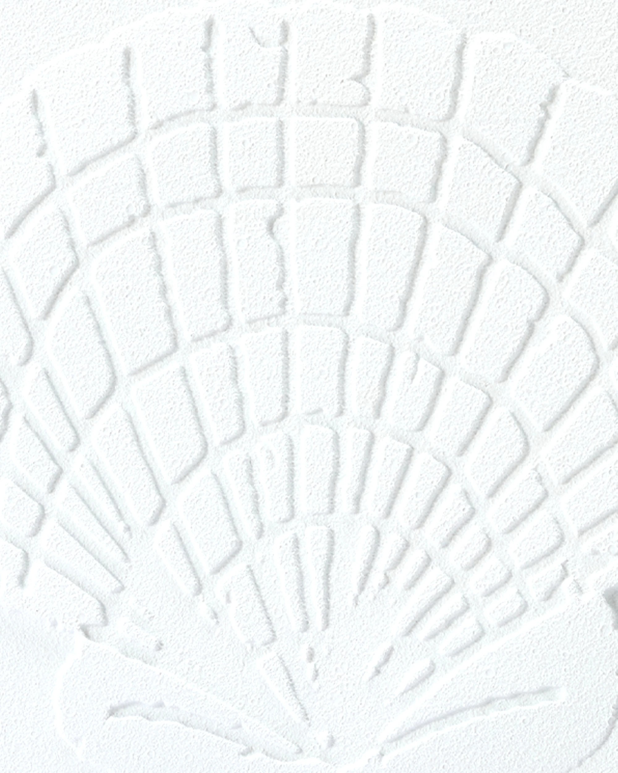 2 2 Pack Shell Framed Canvas - 40cm x 40cm, 2 of 5