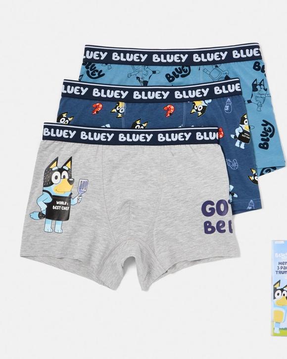 3 Pack Bluey License Trunks