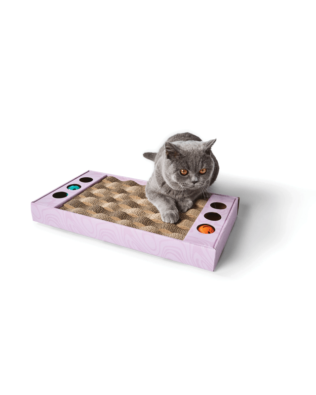 Cat Scratcher with 2 B