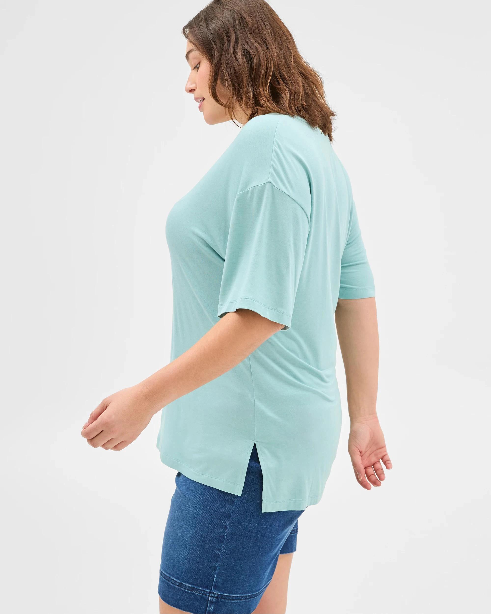 5 Target Plus Size V-Neck T-Shirt AQUIFER, 5 of 6