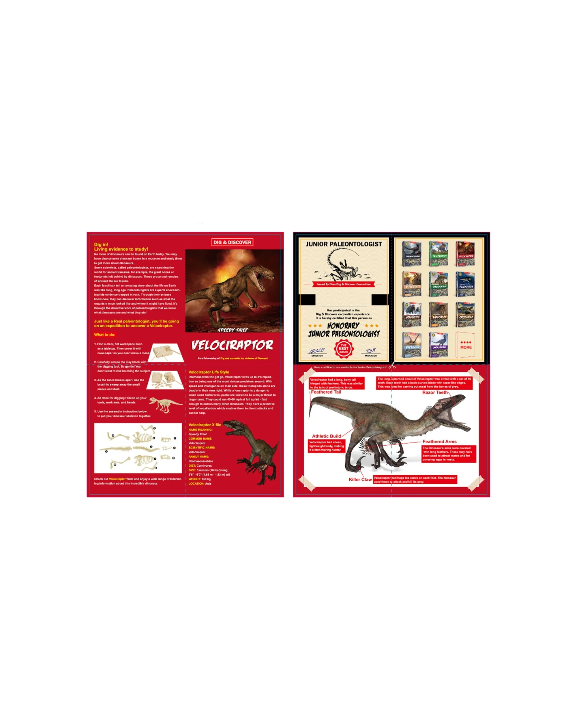 4 Kaper Kidz Dig Discover Velociraptor Dig Excavation Kits Educational Toy - Multi, 4 of 4