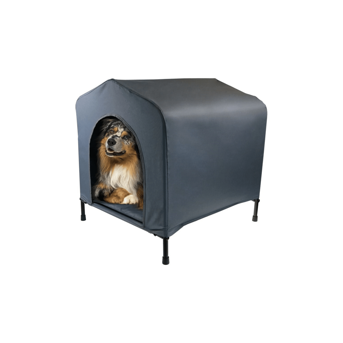 1 Paws And Claws Medium 62x63cm Canvas Elevated Pet House With Cushion Black
 - Black, 1 of 1