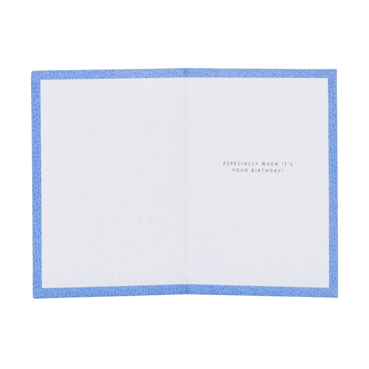 2 Hallmark Birthday Card - Party Hat Zebra, 2 of 3