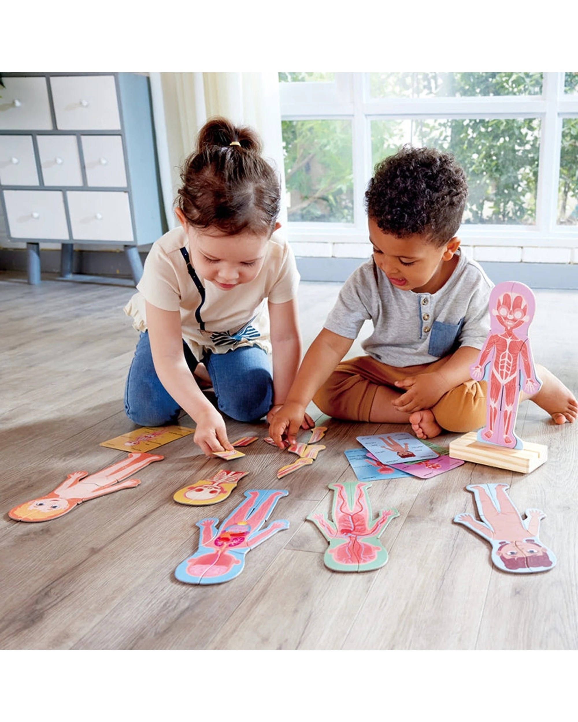 5 Hape Human Body Magnetic Puzzle Anatomy Learning Set Educational Kids - Multi, 5 of 5