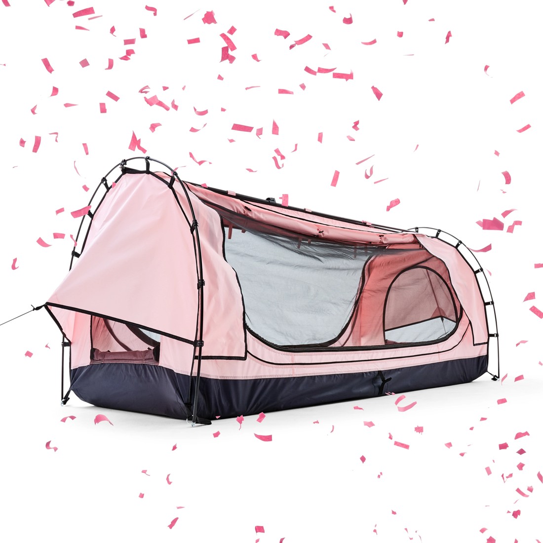 1 Pink Swag, 1 of 10