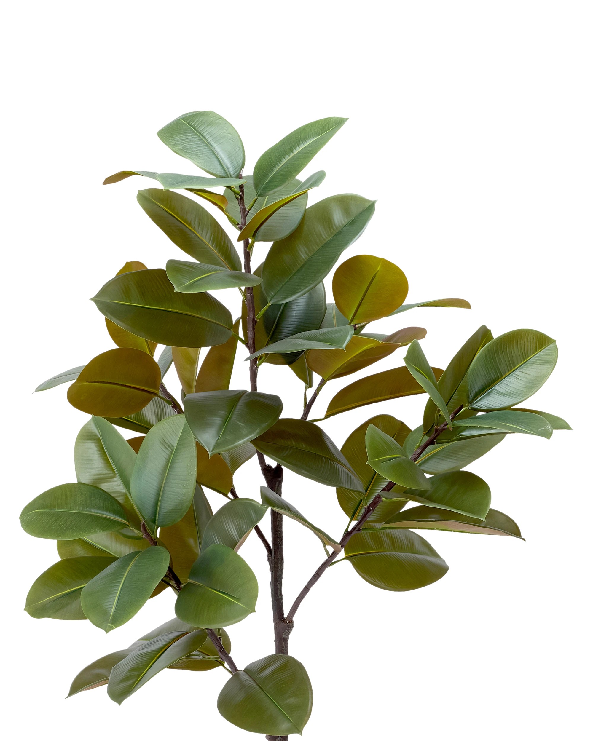 2 Extra Large Artificial Rubber Tree, 2 of 3